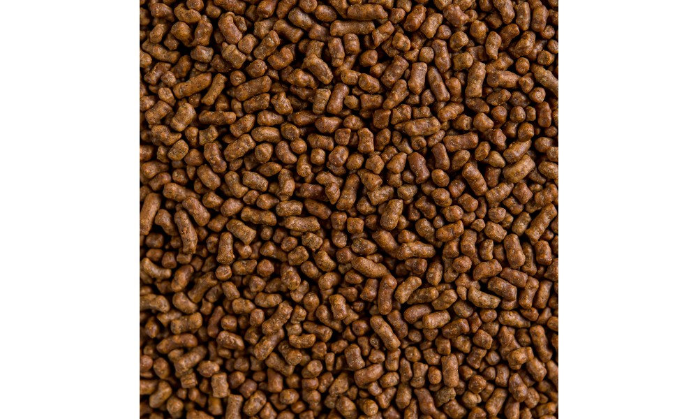 КуЦяо (Тайваньский гречишный чай)